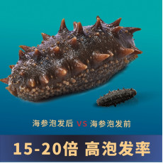 天海灣有機乾海參 250g（61-80隻）