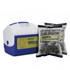 藍血貴族高壓冷凍海參 500g（21-25頭）