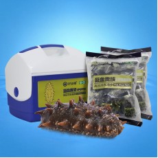 藍血貴族高壓冷凍海參 500g（21-25頭）