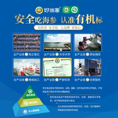 天海灣有機乾海參 250g（81-100頭）