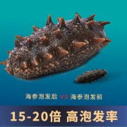 天海灣有機乾海參 250g（81-100頭）