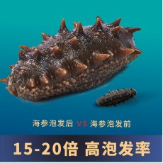 天海灣有機乾海參 250g(81-100頭)